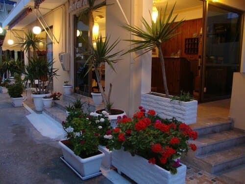 Внешний вид отеля Hotel Rachel