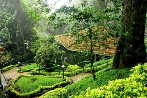 Внешний вид отеля The Tall Trees Munnar