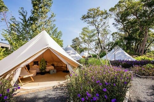 Внешний вид отеля Roost Glamping