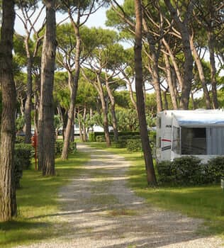 Внешний вид отеля Camping Waikiki