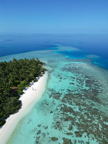 Внешний вид отеля Plumeria Maldives