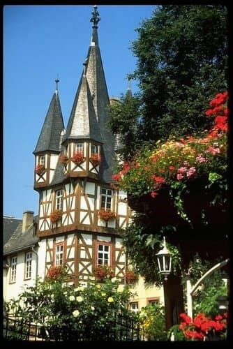 Внешний вид отеля Altdeutsche Weinstube в Рюдесхайме