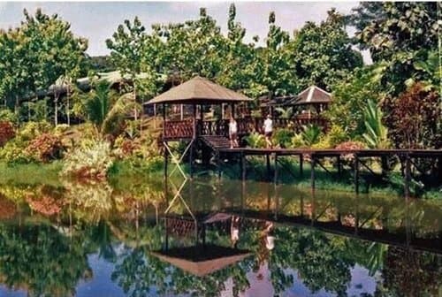 Внешний вид отеля Sepilok Jungle Resort