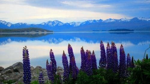 Внешний вид отеля Tailor Made Tekapo