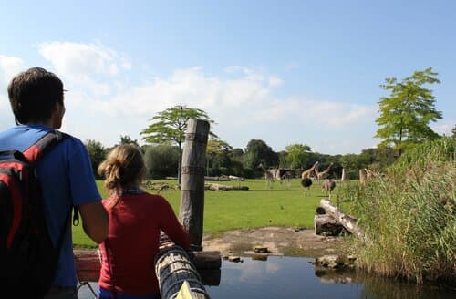 Внешний вид отеля Best Western Hotel Windorf