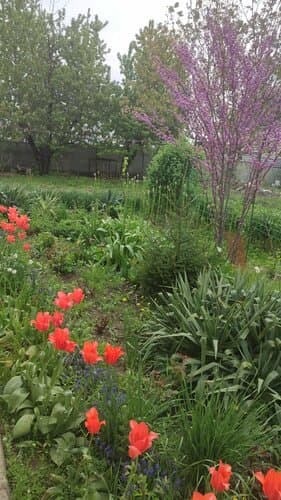 Внешний вид отеля Вербочки