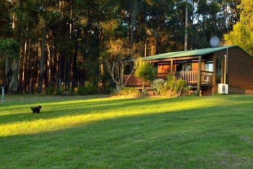 Внешний вид отеля Diamond Forest Farm Stay